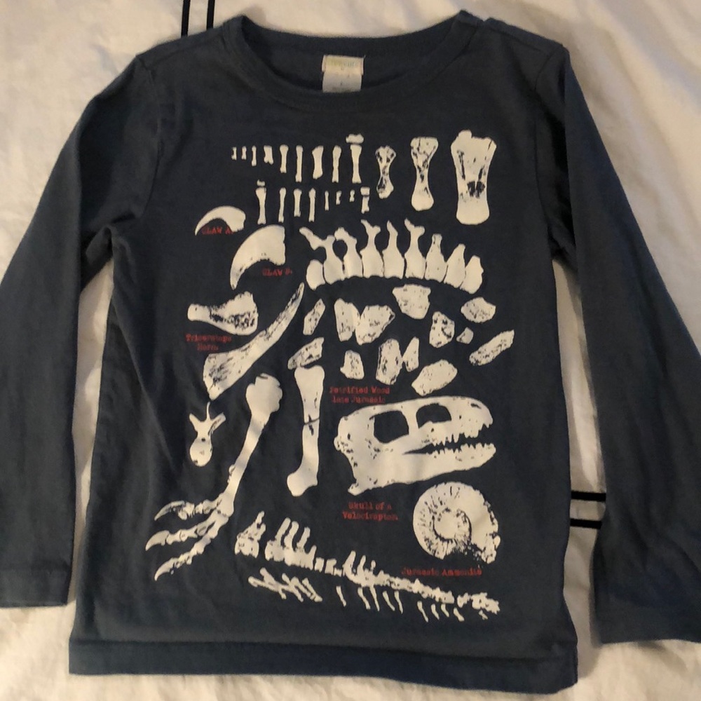 Set of 2 Jcrew kids long sleeve dinosaur tees - Picture 2 of 4